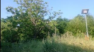 Асеновградчанин гледа и се мае: Това кучешка клетка ли е или... СНИМКИ