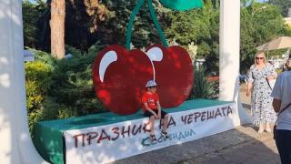 Рекорд! Измериха череша с диаметър почти 4 см. на Празника в Кюстендил СНИМКИ