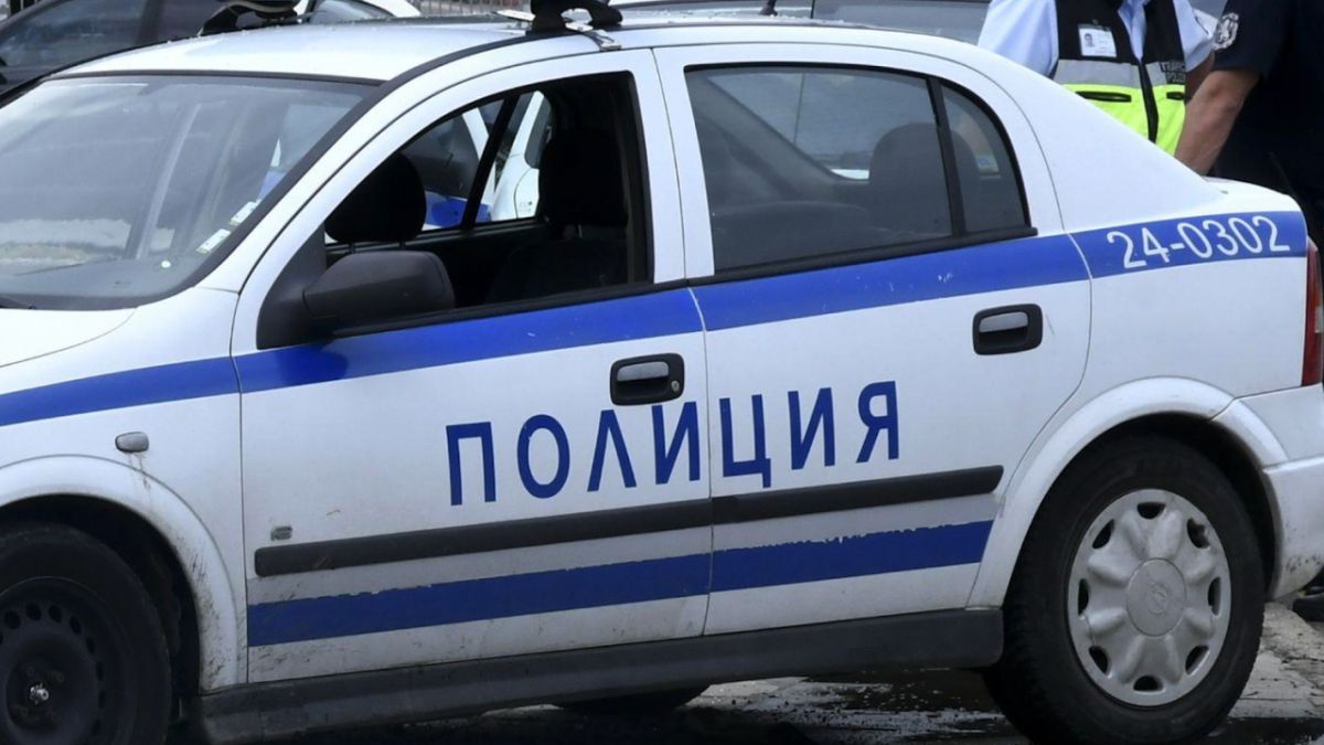 Митничари от "Капитан Андреево" провериха камион и онемяха от видяното вътре СНИМКИ