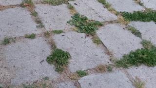 Жител на "Люлин": Г-н кмете, банкетът приключи, време е за малко работа