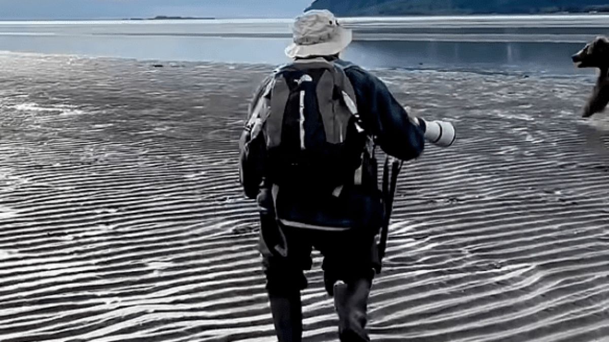 Мечка нападна група туристи, но един от тях спаси всички, ето как ВИДЕО