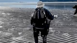 Мечка нападна група туристи, но един от тях спаси всички, ето как ВИДЕО