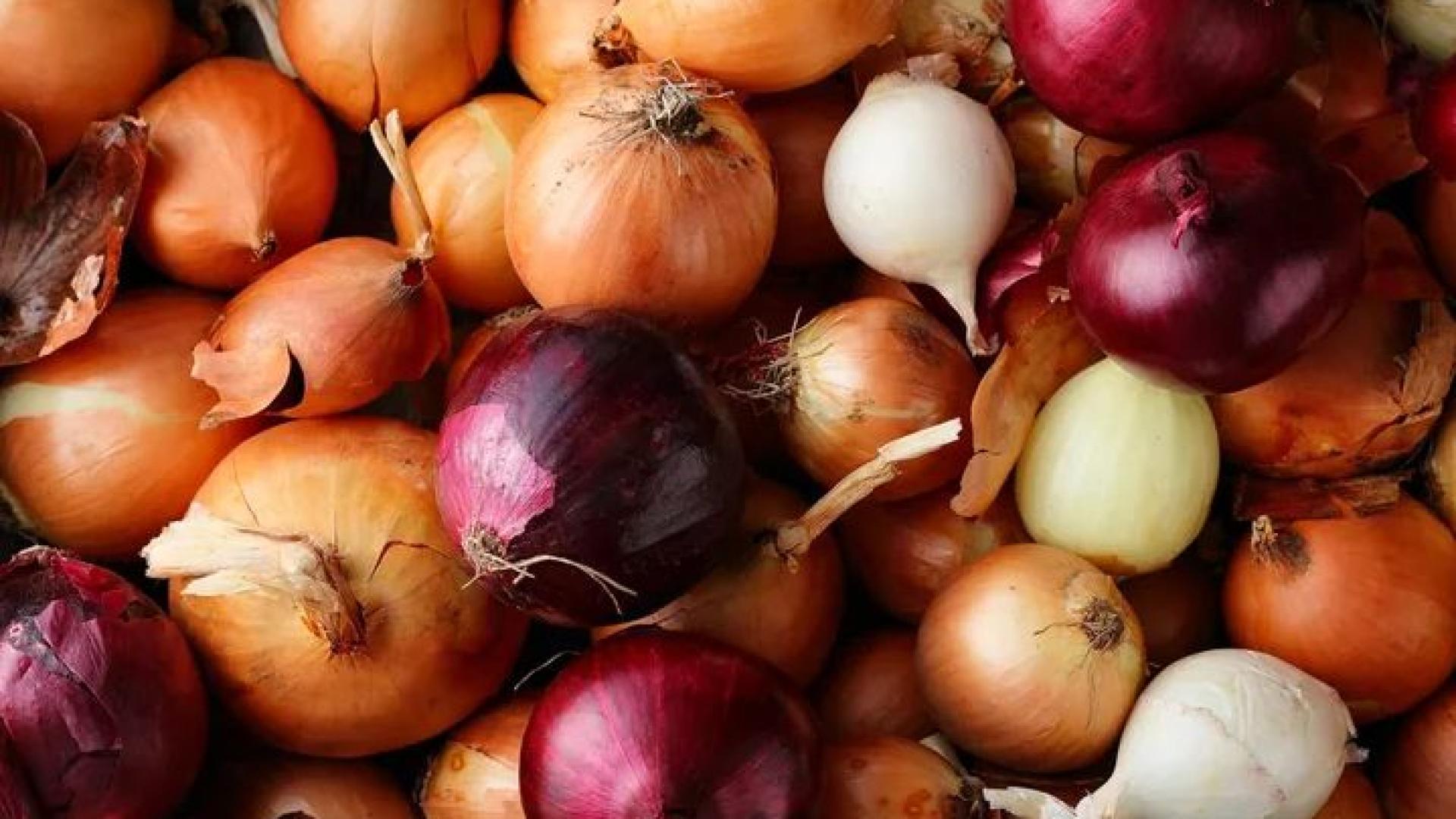 Малките мушички ще стоят далеч от лука, направите ли това 