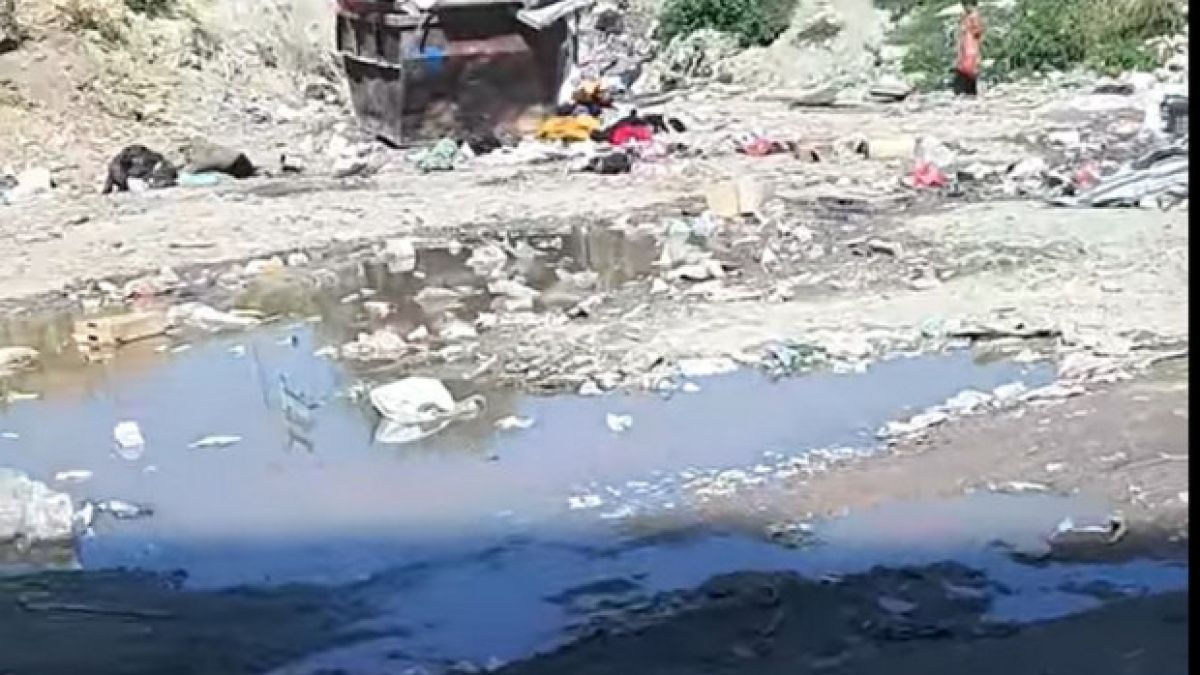 Български гъзари дават луди пари, за да живеят в тотална кочина ВИДЕО 