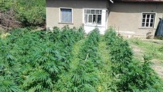 Цената на тази къща за продажба в Пловдивско запали мрежата