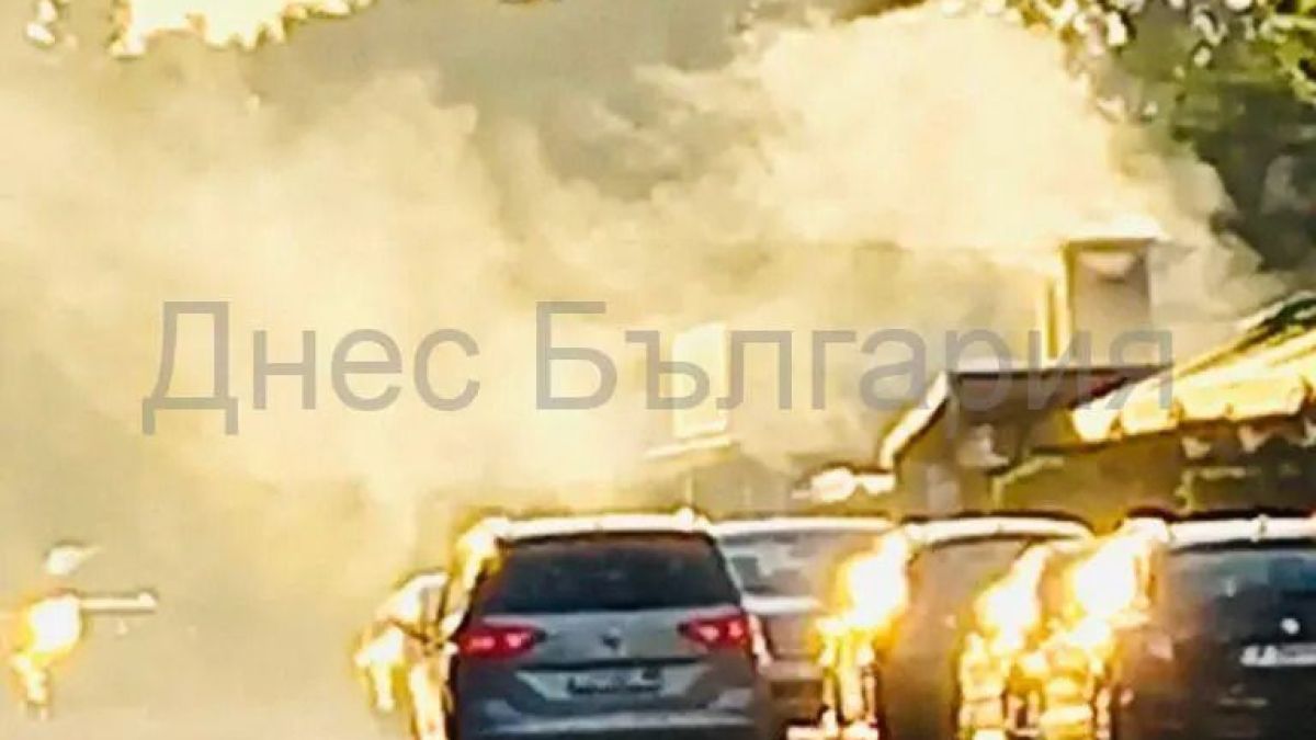 Всички в Слънчев бряг ревнаха срещу това заведение, ето защо СНИМКИ