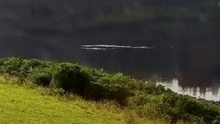 Очевидец засне загадъчното чудовище от езерото Лох Нес ВИДЕО