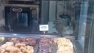 Клиент на "Кауфланд" потресе мрежата с това, което засне зад витрина с храна ВИДЕО 