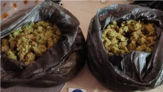Акция на ГДБОП! Закопча четирима мъже и млада жена заради... СНИМКИ