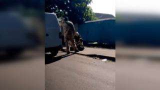 Ритат и стрелят: Военни комисари в Украйна арестуват поголовно всеки, който откаже мобилизация  ВИДЕО