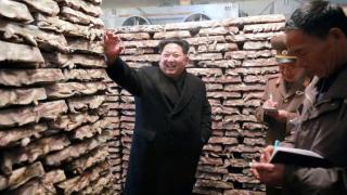 Pезиденция 55 - какво се крие в мистериозното имение на Ким Чен Ун? СНИМКИ