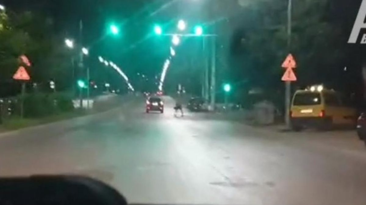 Всички шофьори изтръпнаха от този пешеходец, молят се да не го срещнат ВИДЕО 