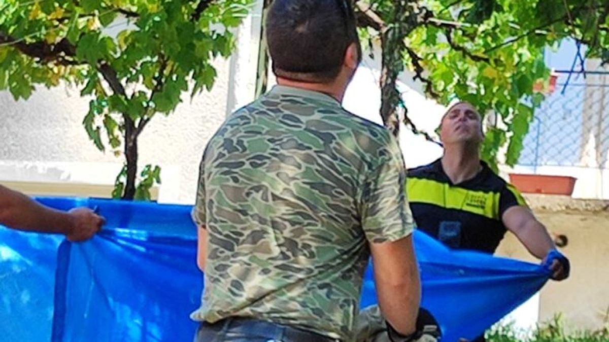 Собственикът на тази вила в Ихтиман не е и подозирал, че ще има такъв гост СНИМКИ
