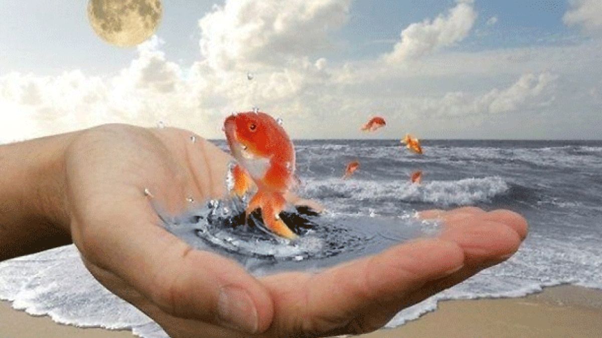 Виц за изтощената златна рибка и едното желание взриви мрежата