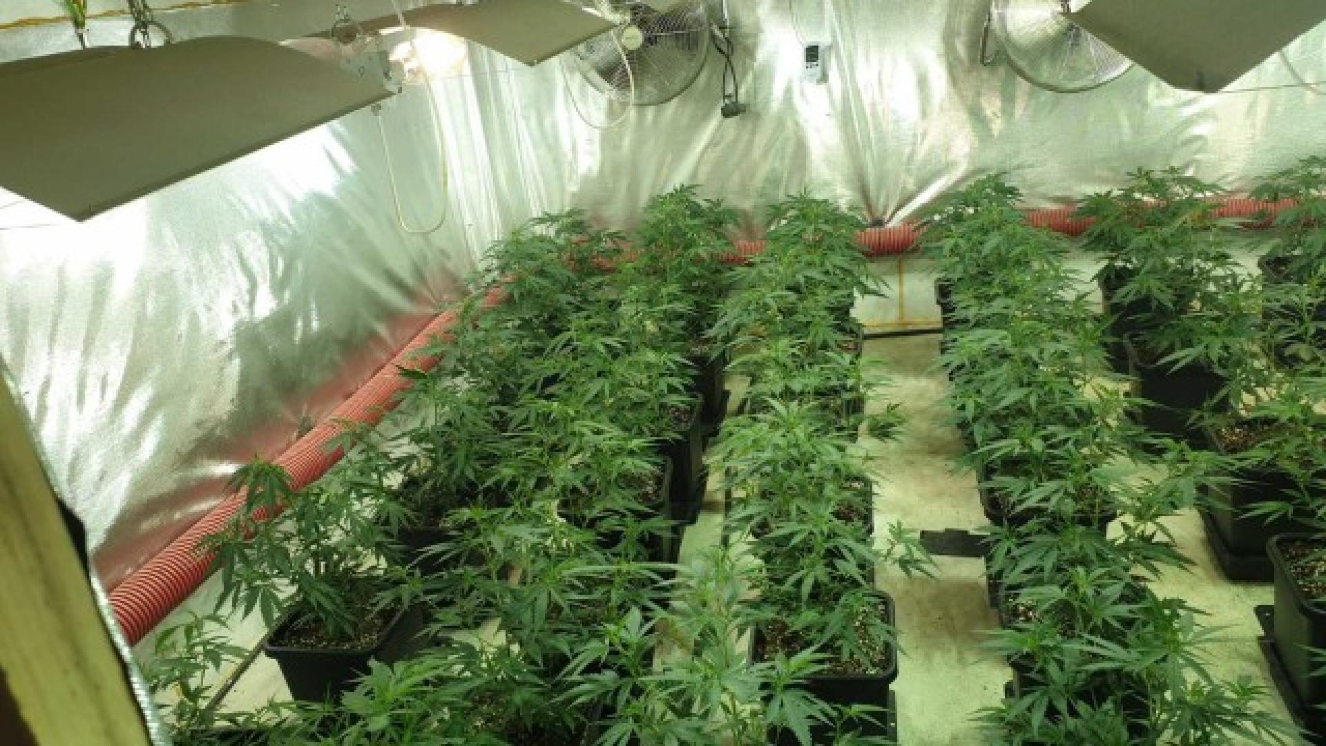 Криминалисти отидоха в Нови пазар и онемяха от видяното 