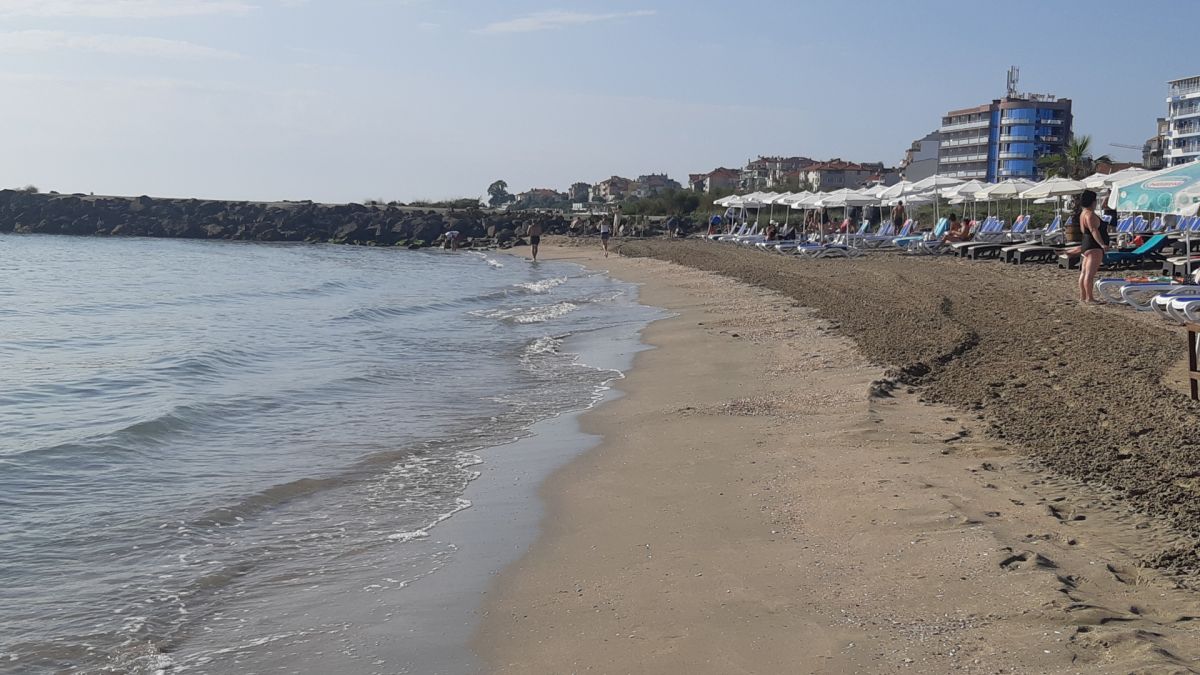 Такова нещо България не помни: Дебне масов мор на това място в страната