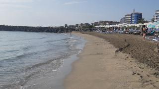 Такова нещо България не помни: Дебне масов мор на това място в страната