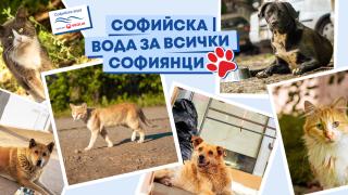 Вода без опаковка и за тези, които не могат да си налеят сами 