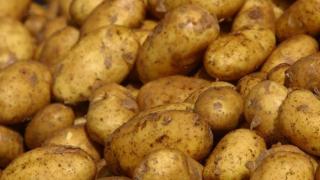 Тревожна тенденция: Любим на всички ни зеленчук е на път да изчезне