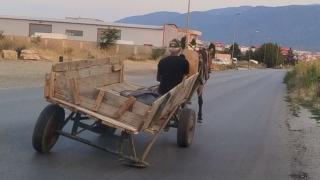 Необичайна гледка край Асеновград подпали мрежата