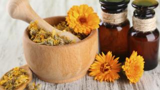 Този вкусен чай от цвете пречиства черния дроб, сваля кръвно и захарта