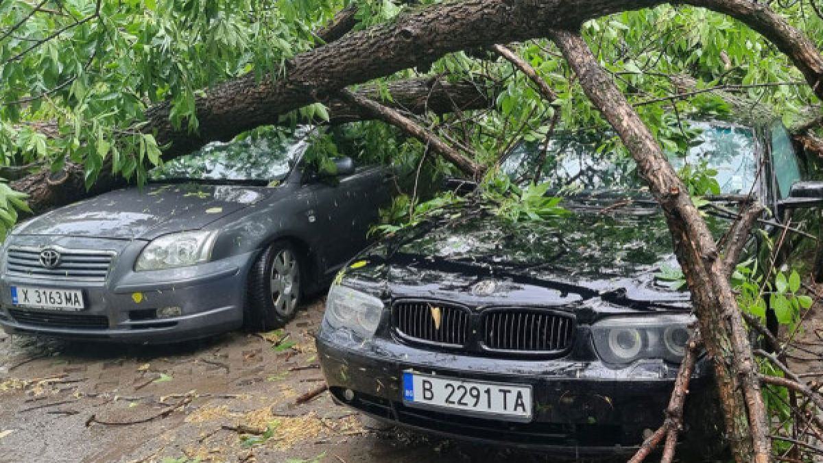 Ето какво оставиха след себе си мощните бури, ударили България ВИДЕО 