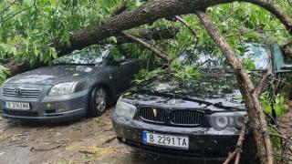 Ето какво оставиха след себе си мощните бури, ударили България ВИДЕО 