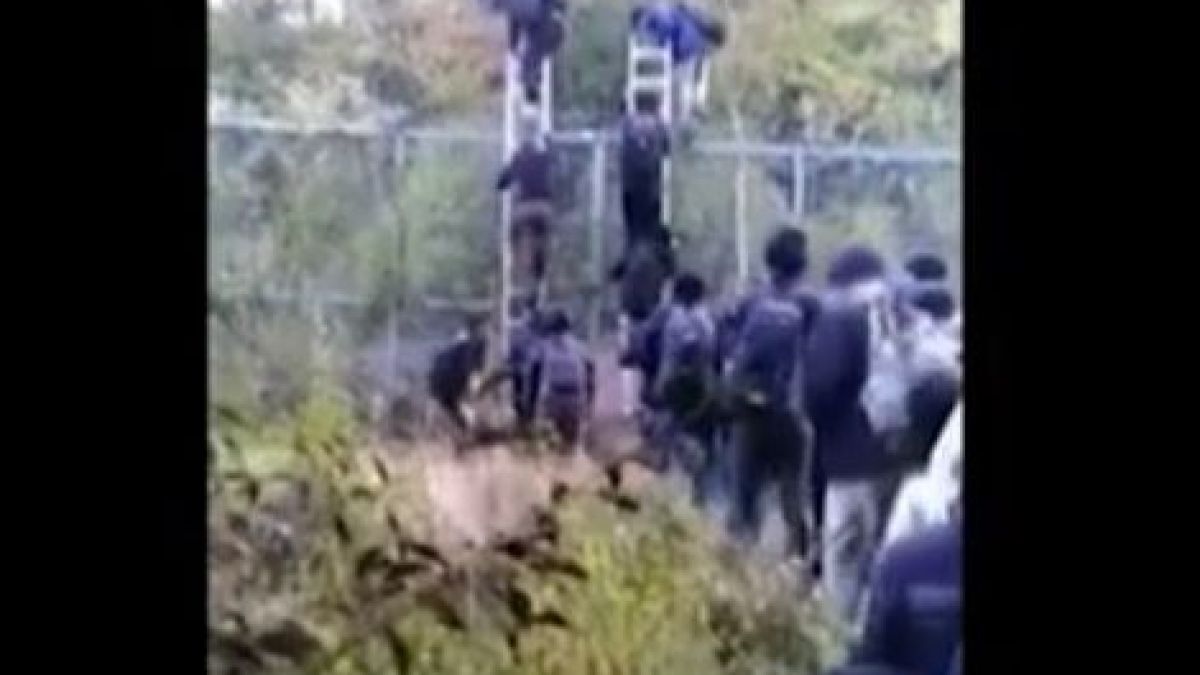 Цяла армия щурмува границата ни, страшно е! 