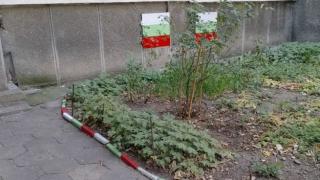 Гняв! Спрете да плякате трибагреника, Ботев и Левски където ви падне! СНИМКИ