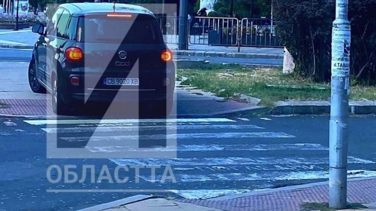 Столичанка ошашави кърджалийци с нелепата постъпка СНИМКА
