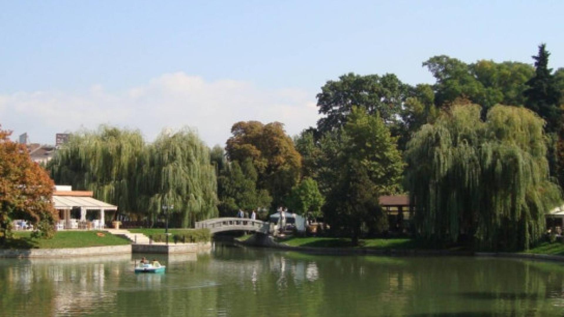 В Дубай го имат отскоро, а в София му се радват от 1972 г. СНИМКИ