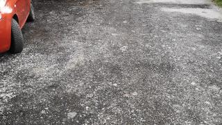 Жител на тузарски столичен квартал пропищя от... СНИМКИ