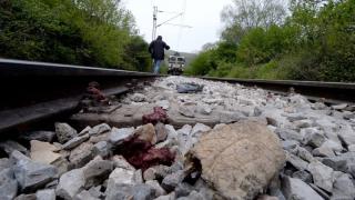 Смразяваща кръвта находка между жп гарите Филипово - Скутаре
