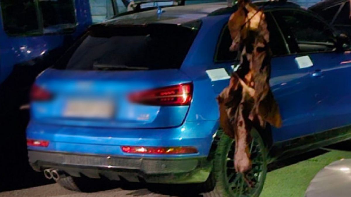 Тузарски автомобил изплува около убийството на Петров СНИМКА