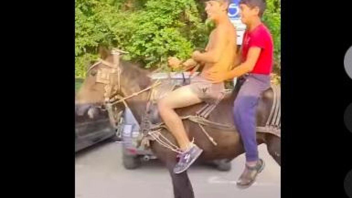 Това може да се види само в "Люлин": Хората гледат и не вярват на очите си ВИДЕО