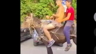 Това може да се види само в "Люлин": Хората гледат и не вярват на очите си ВИДЕО