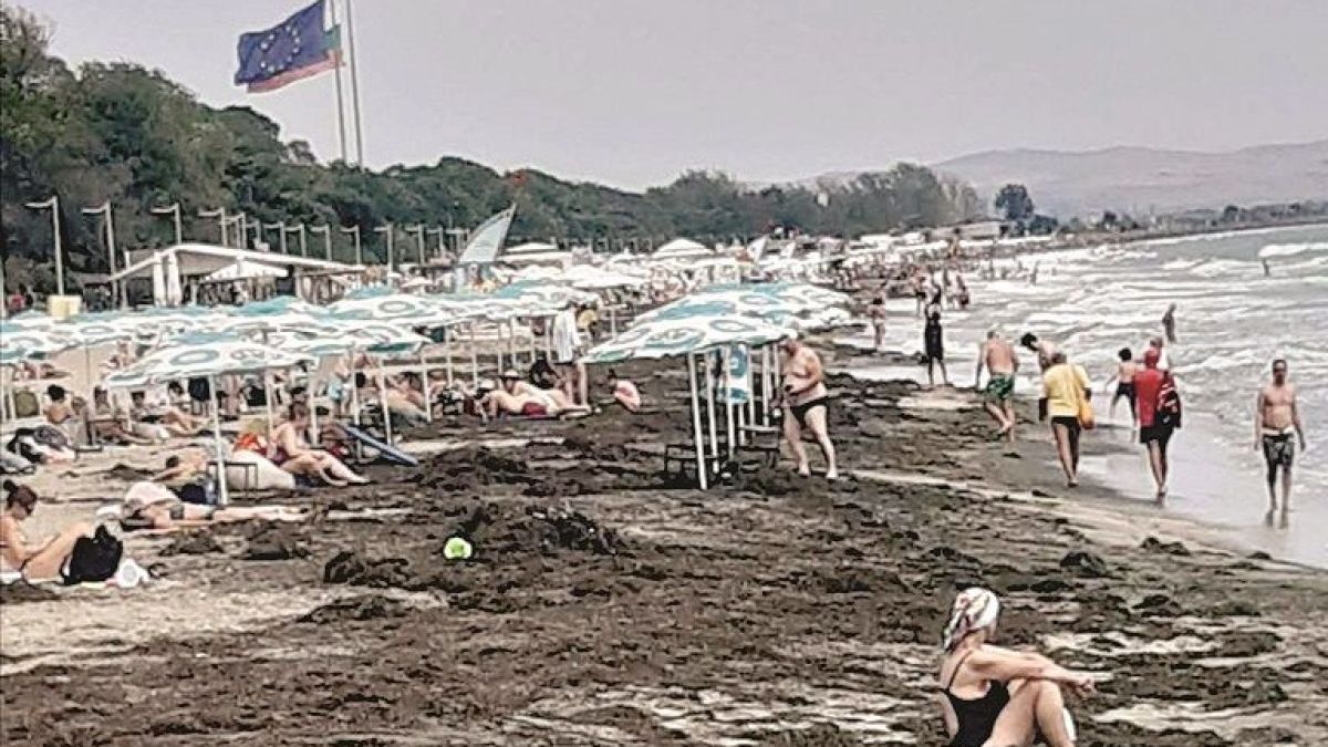 Два трупа шокираха Обзор и Поморие, мъртвакът отслабва, но...