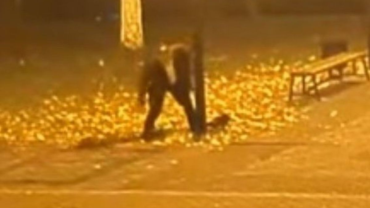 Подивял сириец спретна невиждан погром в София, минувачите - в шок 