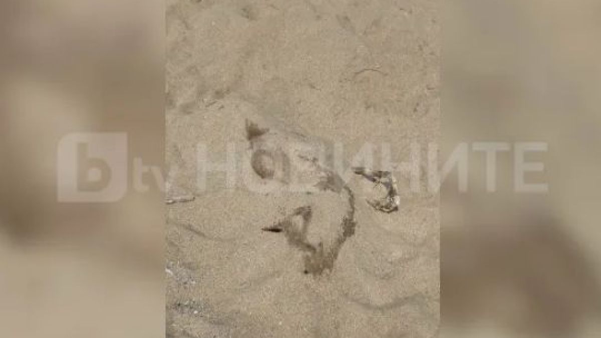 Деца се натъкнаха на труп на плаж край Варна СНИМКА