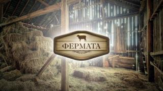 Мис България влиза във "Фермата" и ще рине обора СНИМКИ