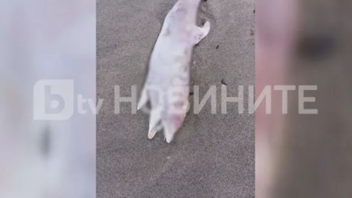 Морето изхвърли още един труп, този път край Ахелой СНИМКИ 