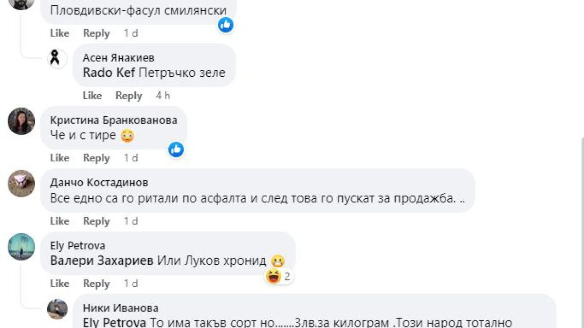 Всички са в ступор от този български лук СНИМКА