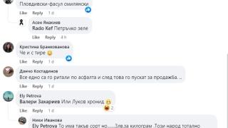 Всички са в ступор от този български лук СНИМКА
