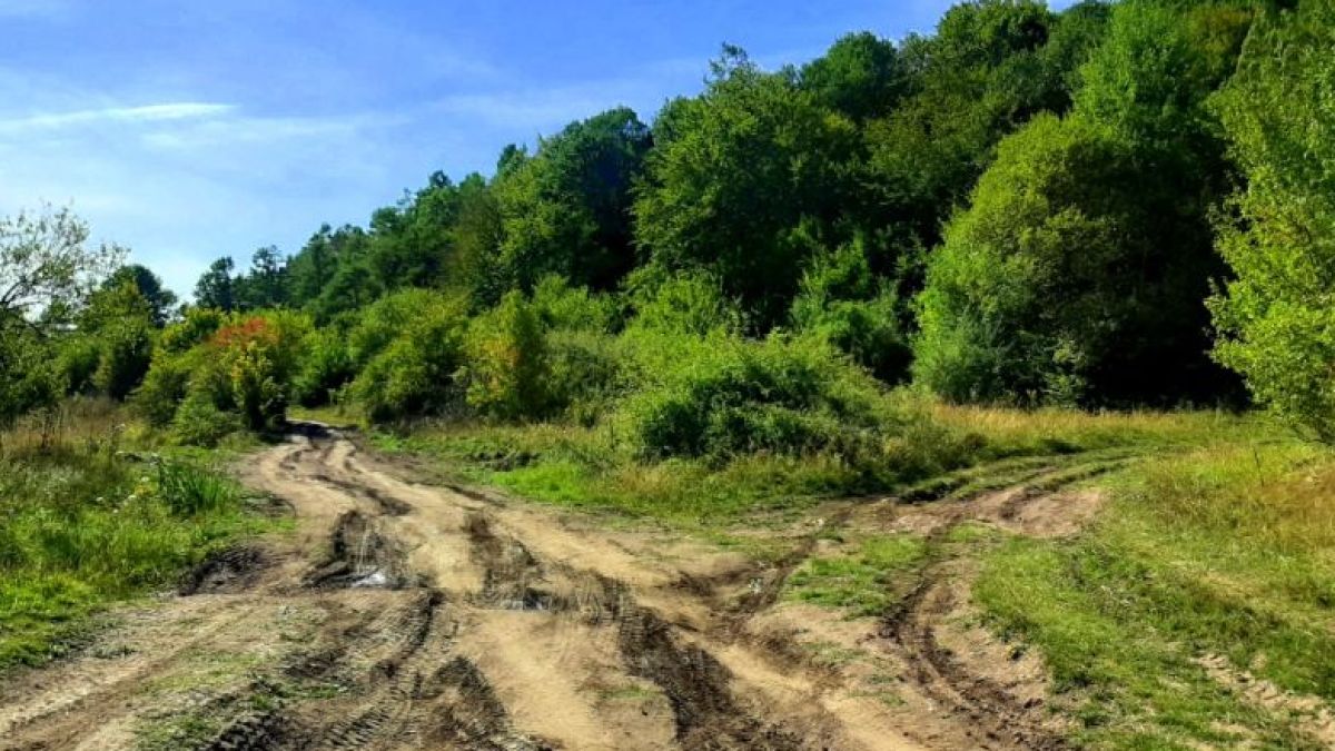 Смърт в Лозенската планина: Точно в 23:37 ч. откриха трупа на...
