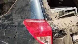 Зверство във Варна! Изрод направи немислимото с кучетата си и последва най-лошото СНИМКИ
