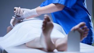 Учени от цял свят в шок заради умрял българин, само за 16 дни се превърнал във...