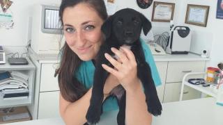 Мрежата почерня, куп известни българи скърбят за красивата ветеринарна лекарка 