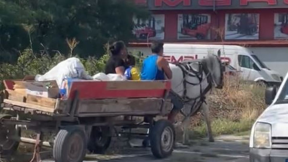 Пловдивчанин изригна гневно: Няма закони! Къде е полицията ВИДЕО 