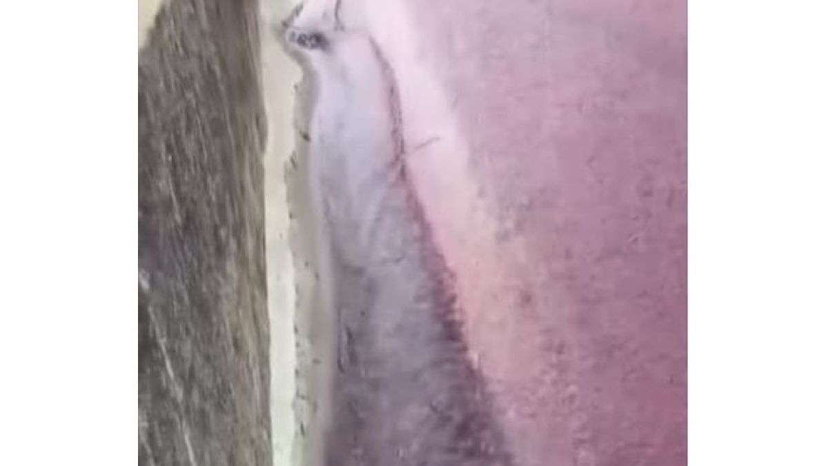 Не е шега! Наводнение от вино заля село ВИДЕО