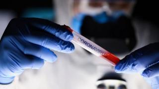 Сводка: Така стоят нещата с К-19 в четвъртък